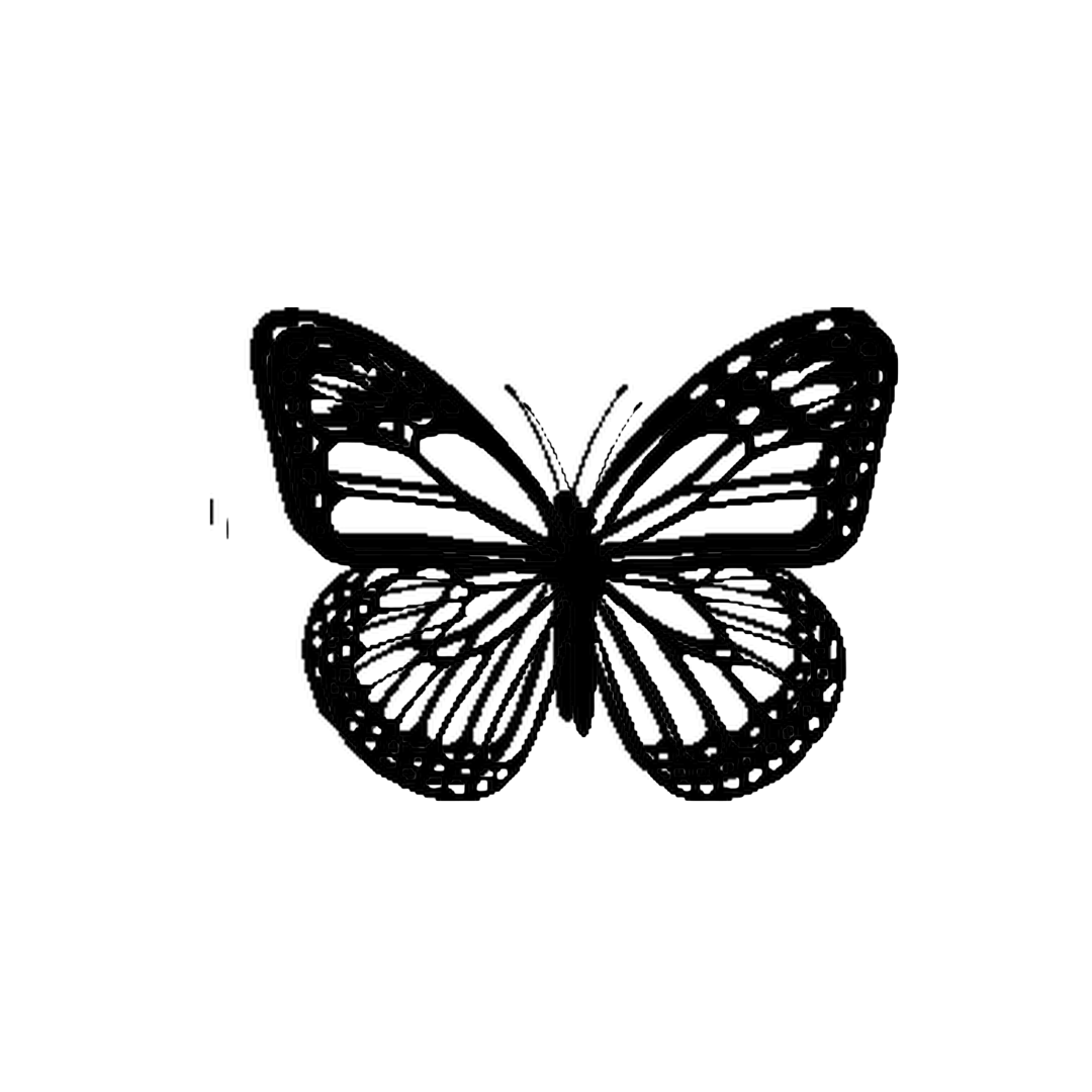 Butterflies 2