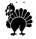 Black-and-white side-view turkey with fan-shaped tail feathers