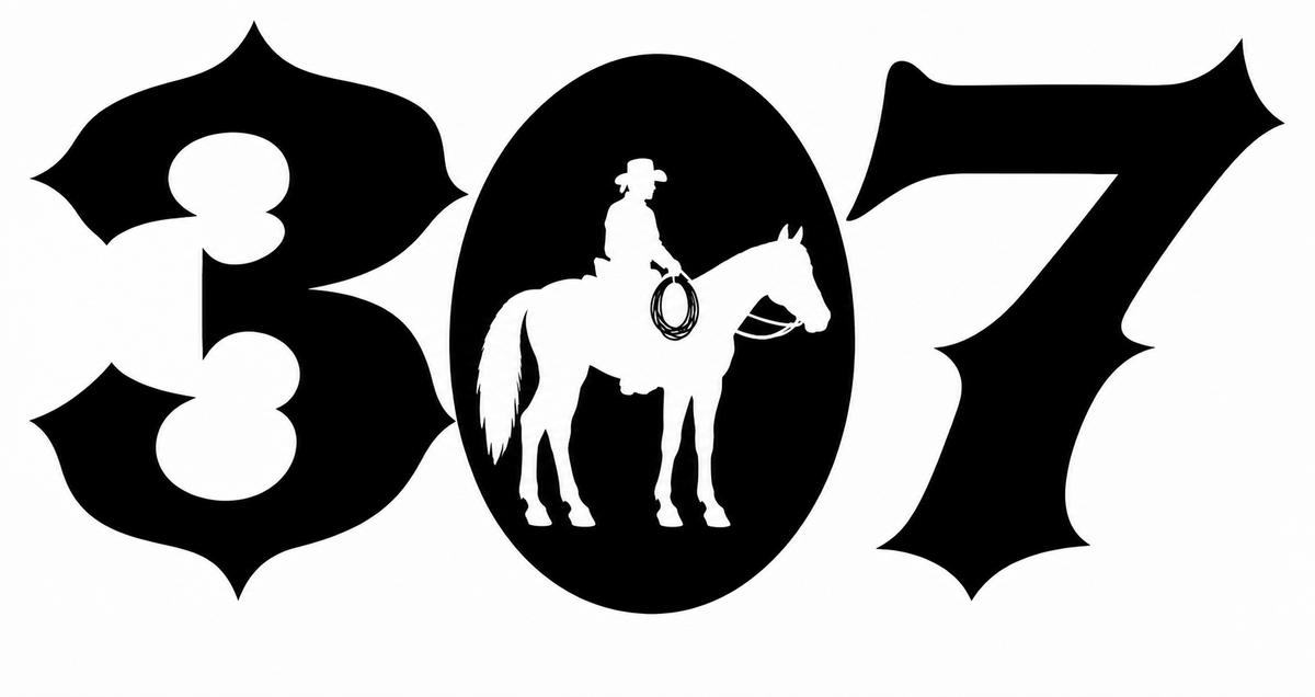 307 Cowboy Oval Decal - Bold western 307 numerals with cowboy on horseback silhouette inside the zero oval