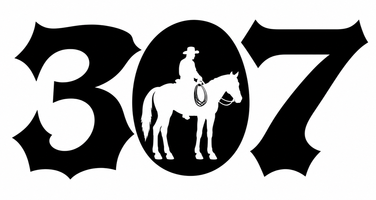 307 Western Font Cowboy Decal - Decorative western 307 numerals with cowboy on horseback and lasso silhouette inside the zero