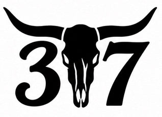 307 Longhorn Skull Decal - Bold longhorn bull skull centered over the zero in 307 Wyoming area code