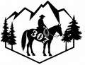 307 Cowboy Mountain Scene Decal