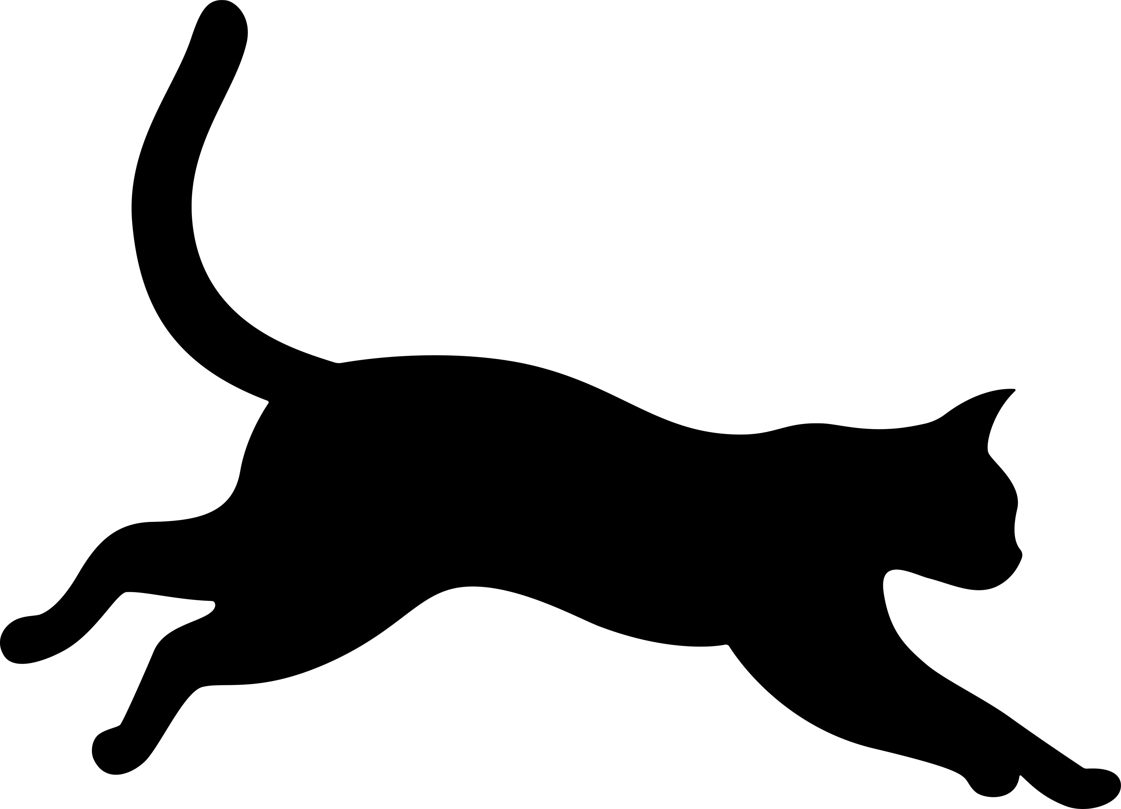 Cat Run R2