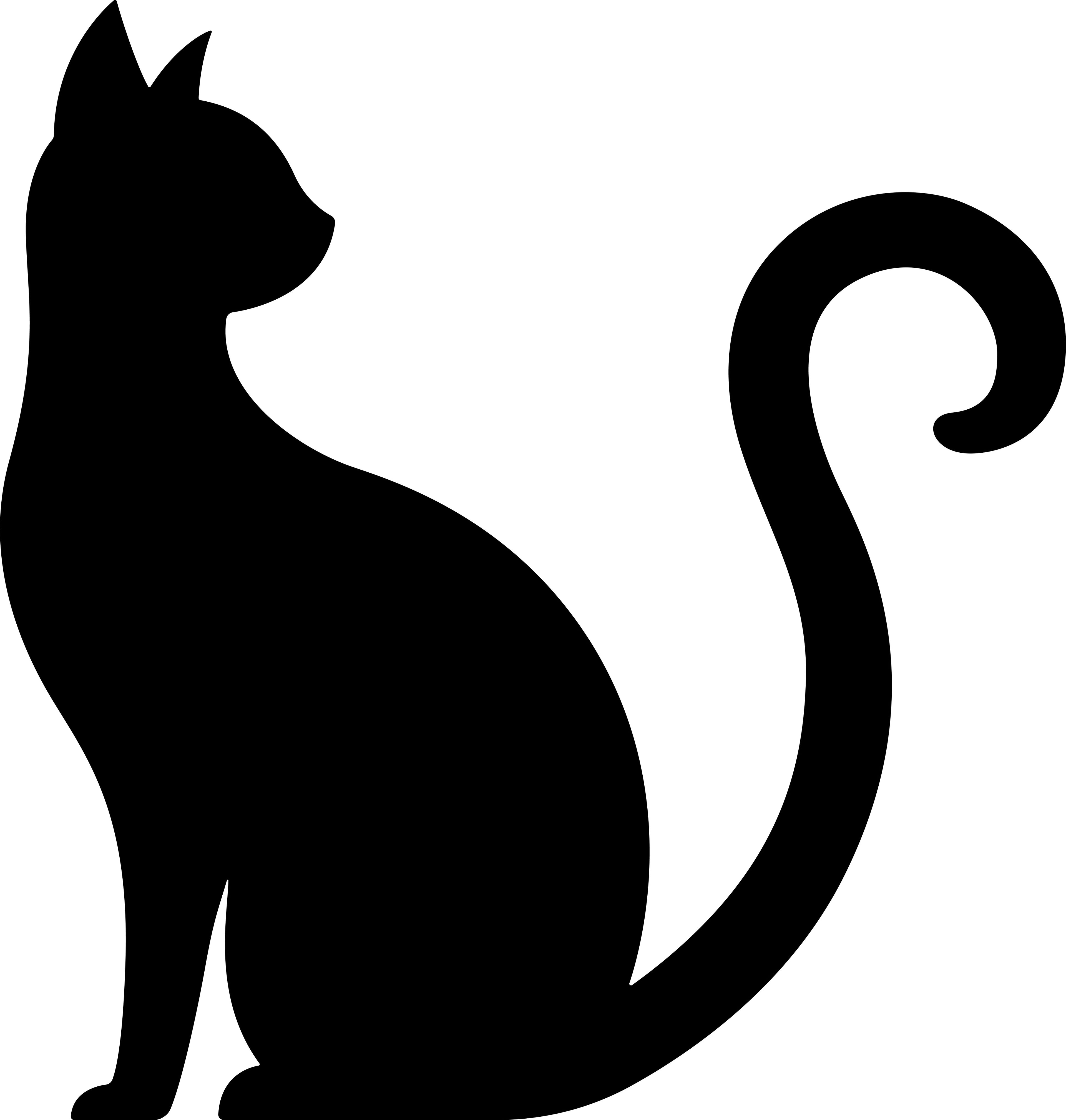 Cat Sit