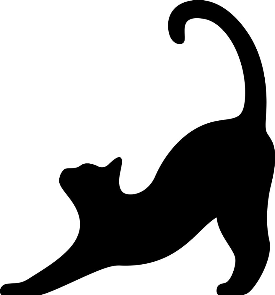 Cat Stretch