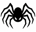 Black spider with eight long angular legs and sharp white eyes