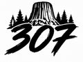 307 Devils Tower Brushstroke Decal